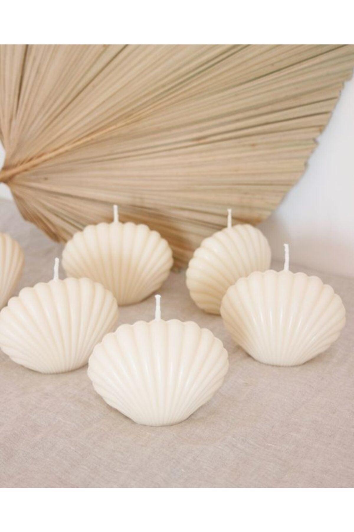 Oyster Candle White Powder Scented 5 Pieces - Swordslife