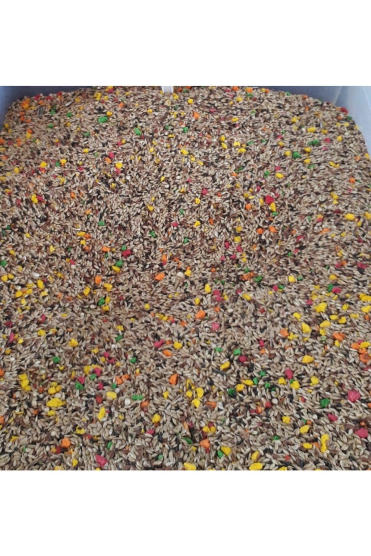 1 Kg European Mixed Canary Feed - Feed.