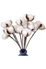 10 pcs Natural Cotton Branches - Swordslife