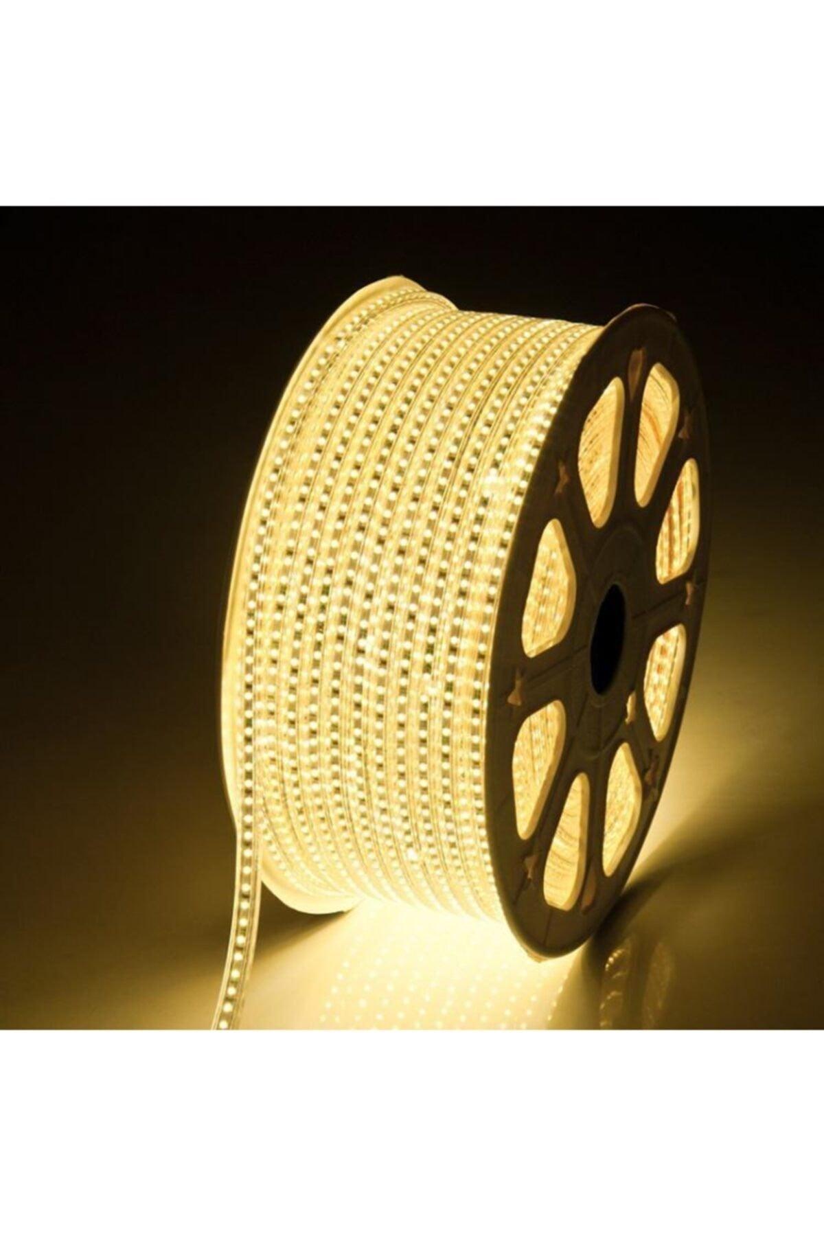 10 Meters Daylight Color Led Hose (Including Plug)