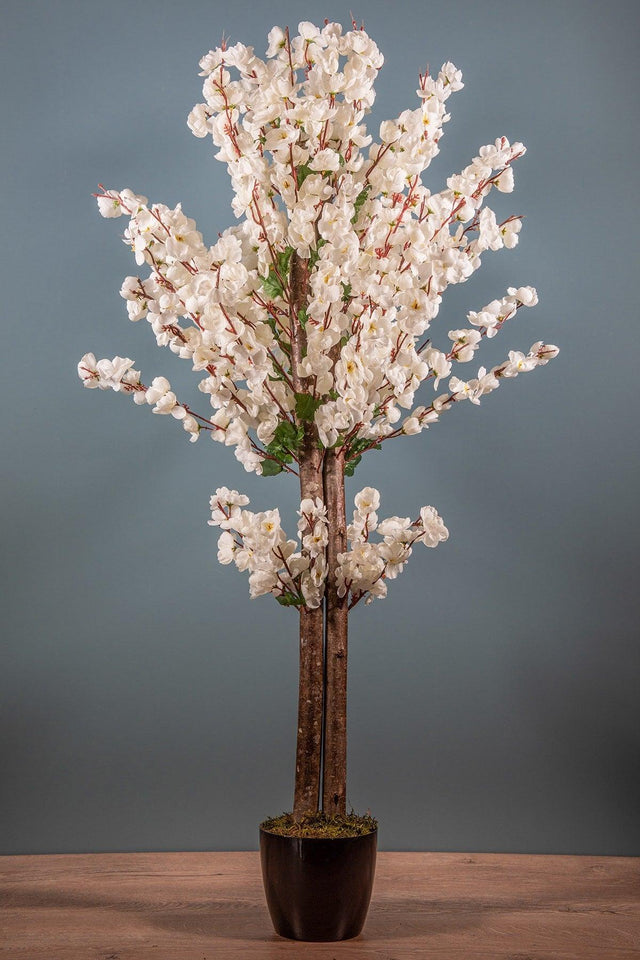 120 Cm White Spicy Tree - Swordslife