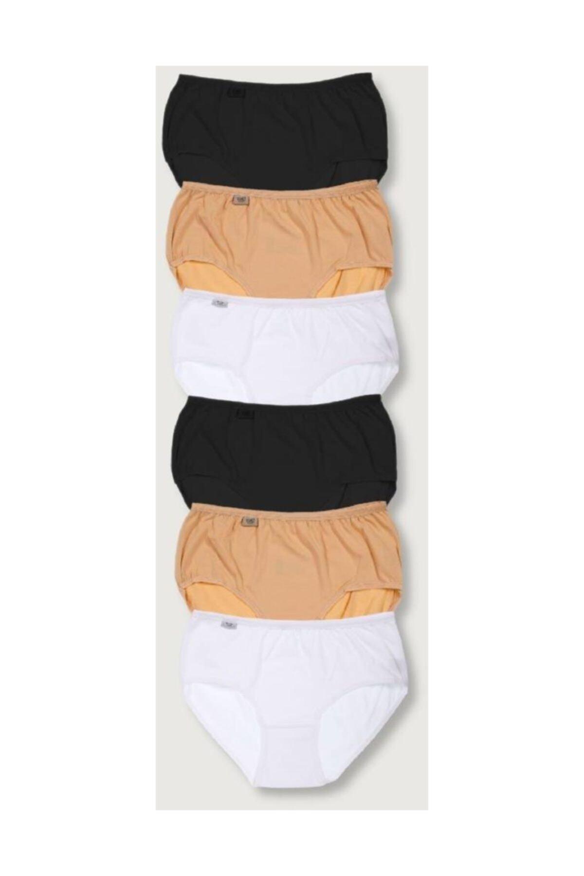 Women's Mixed Color 6 Pack Lycra Bato Panties ELF568T0924CCM6 - Swordslife
