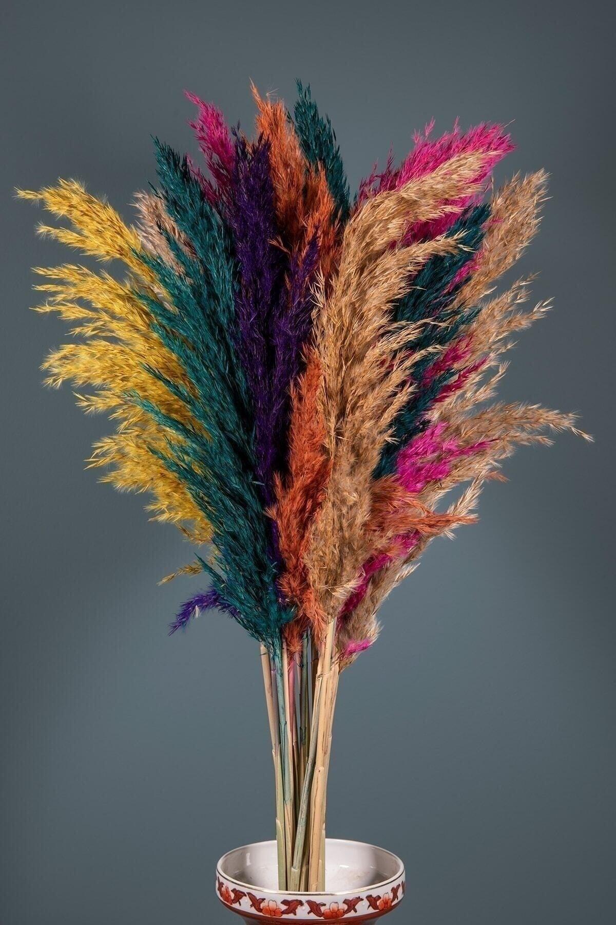 Decorative Pampas Grass 16 Spring Breeze 60/100cm - Swordslife