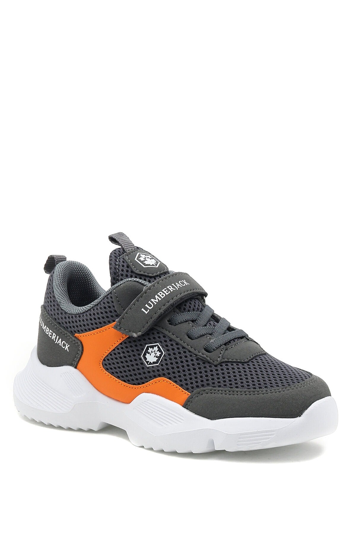 Era 2fx Gray Boys Sport Shoes