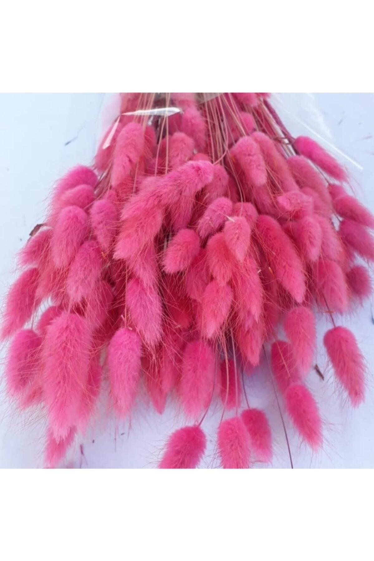 Dried Flower Cotton Grass 5 Branch-grain - Swordslife