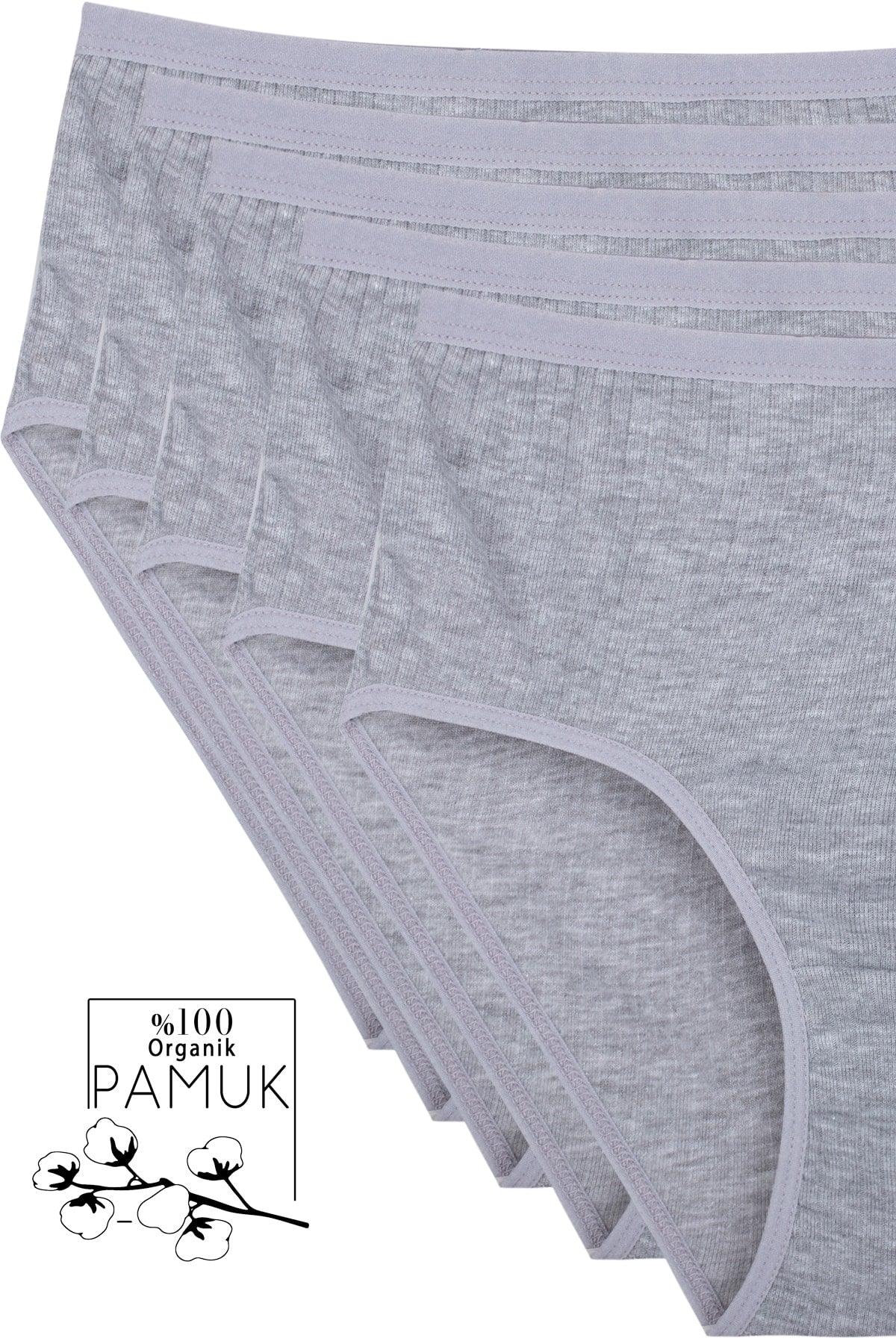 5 Pack Gray Women's High Waist Bato Cotton Panties Bt2-d1 - Swordslife