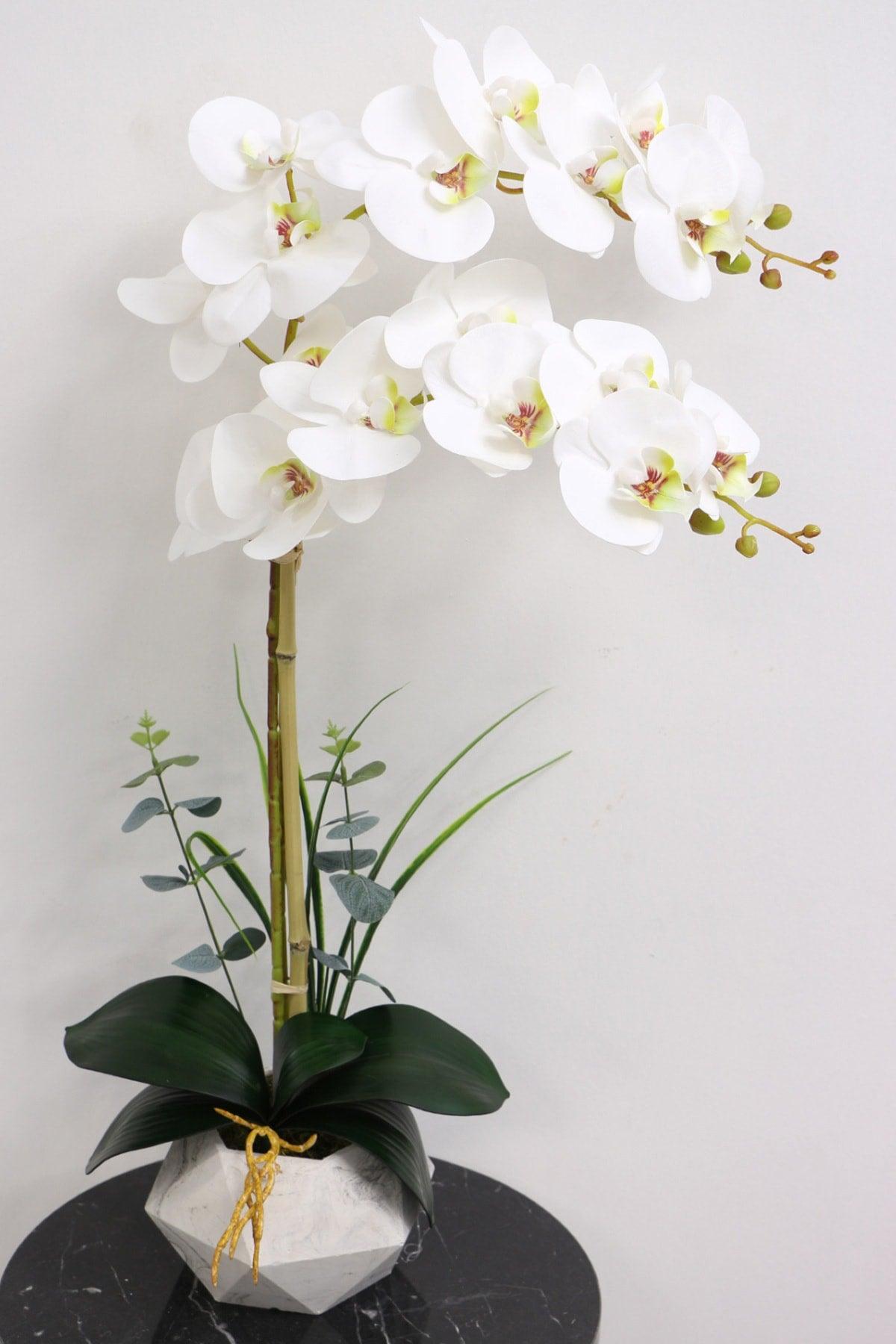 Artificial Wet Orchid in Concrete Geometric Pot White 2 Pack - Swordslife