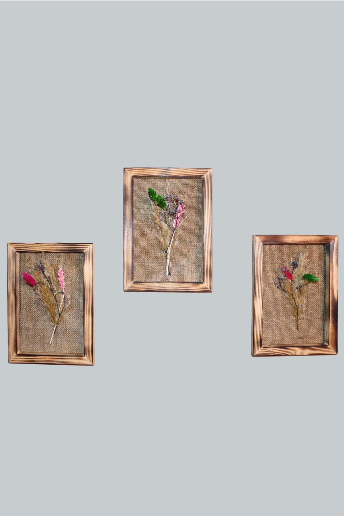 Dried Flower Canvas 3 Piece Wooden Frame Painting Set Pampas Wall Decorative - Swordslife