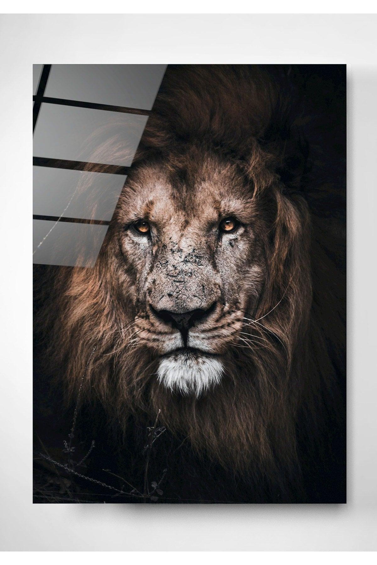 Lion 2 Glass Painting - Swordslife