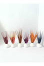 Decorative Mini Potted Flower Basak Coffee Side Presentation Set of 6 Decorative Objects - Swordslife