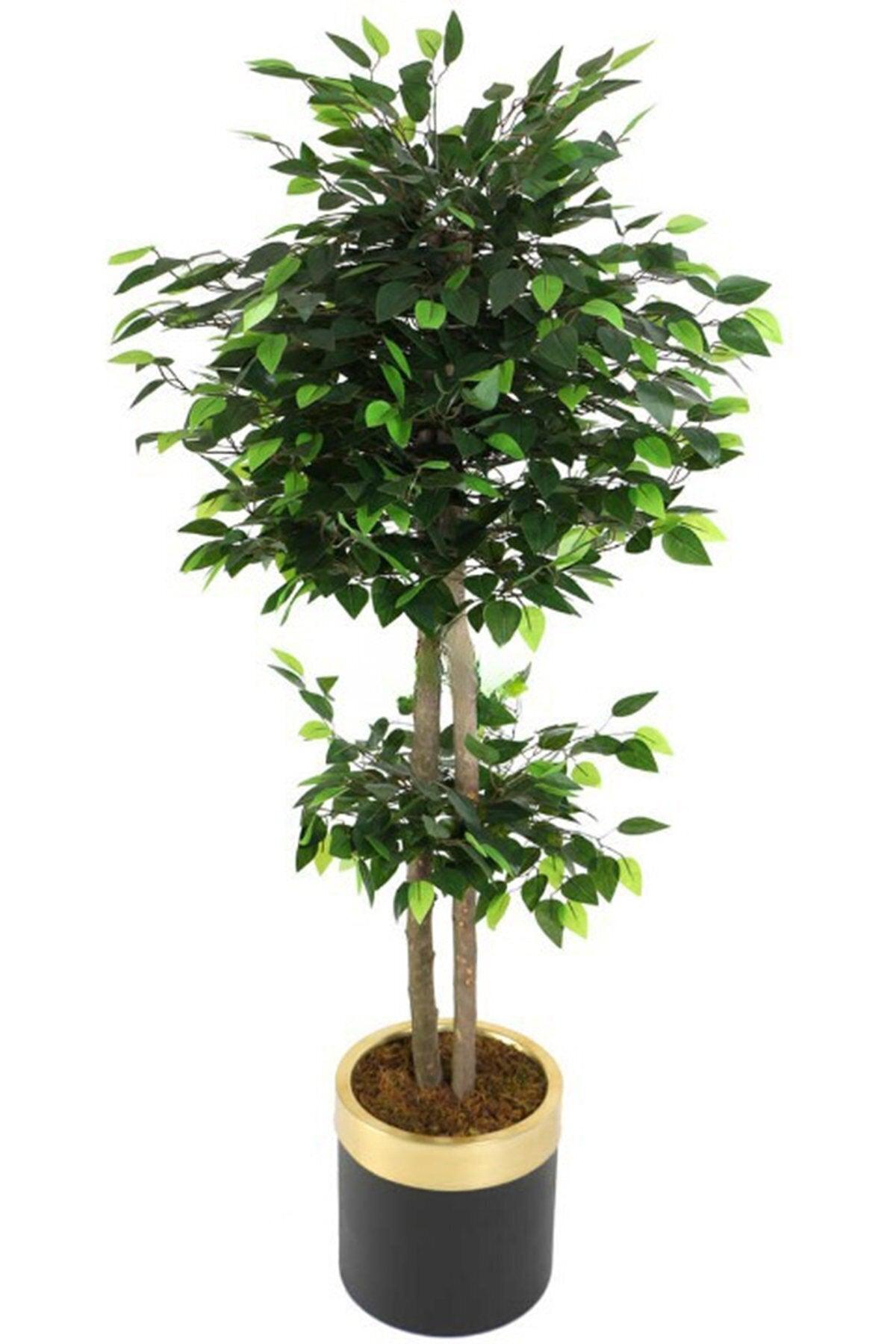 Artificial Benjamin Tree in Metal Pot 160 Cm. - Swordslife