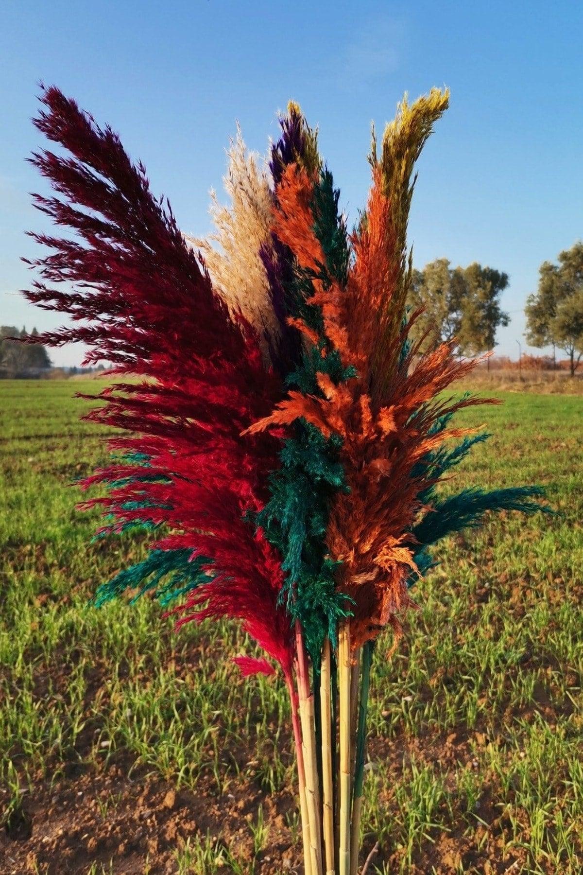 15 Pieces Decorative Mixed Pampas 100cm Tall - Swordslife