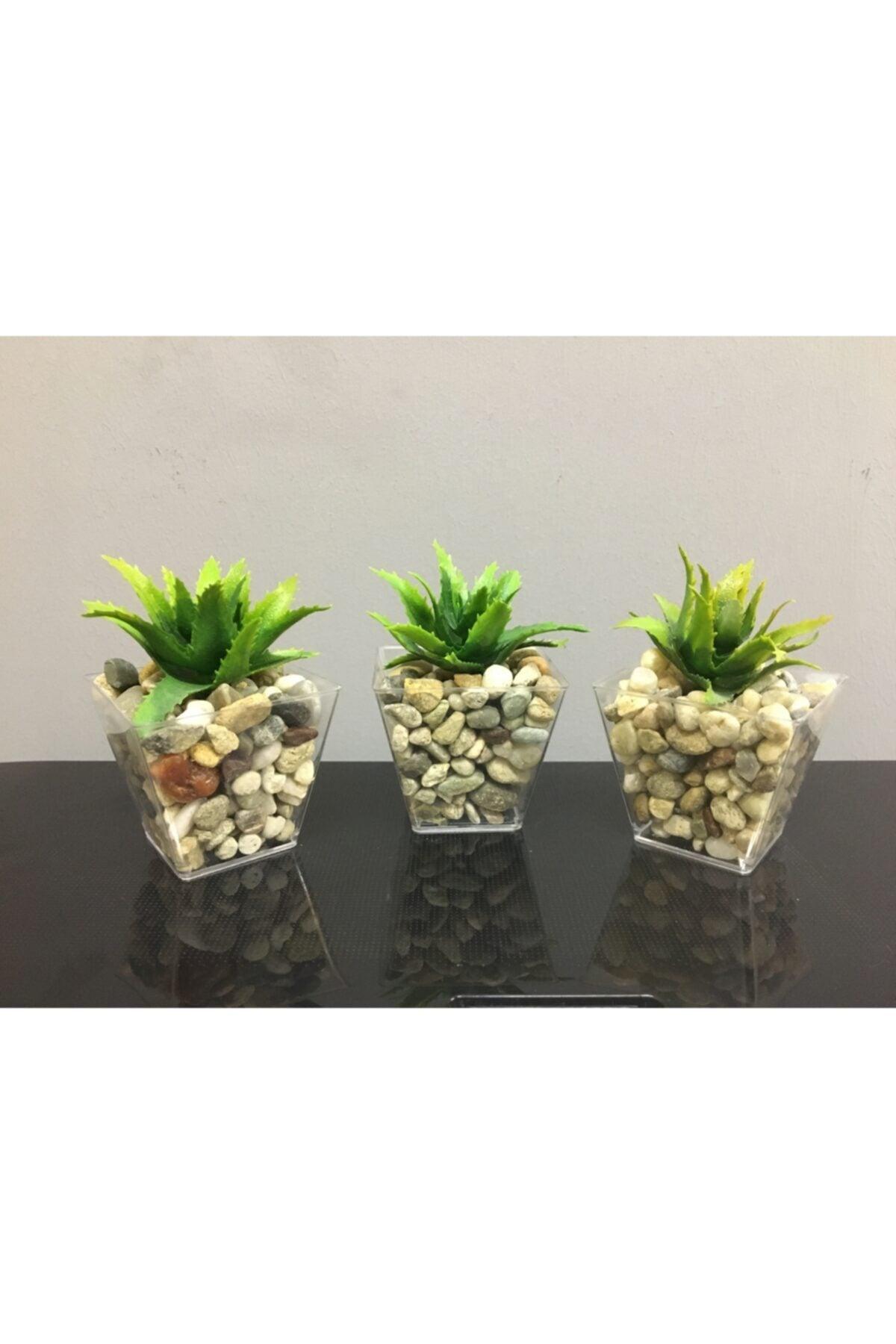 Succulent Artificial Succulent Succulent Artificial Flower in 3 Pack Pebble Pot 6cmx9cm - Swordslife