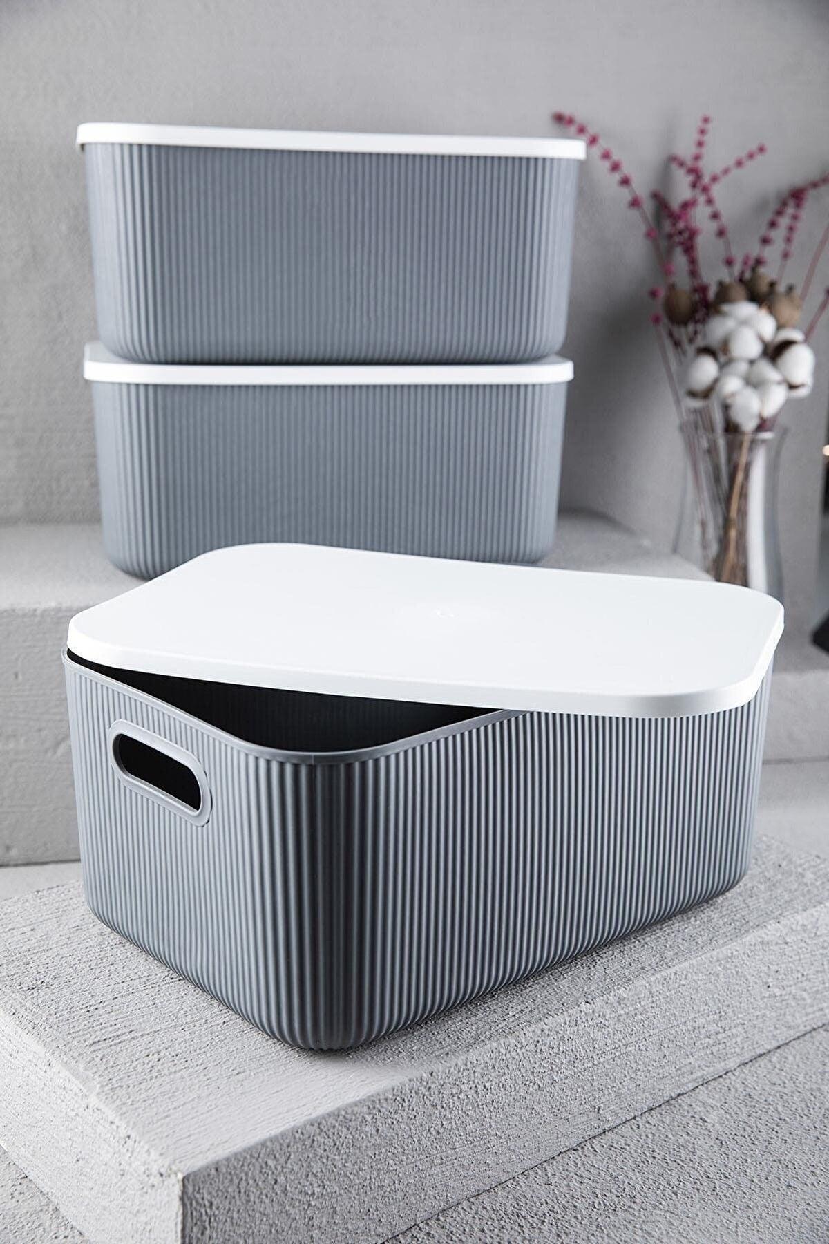 2 Pcs Storage 13 Lt Gray Multi-Purpose Cabinet Organizer Box with Lid, Decorative Box - Swordslife