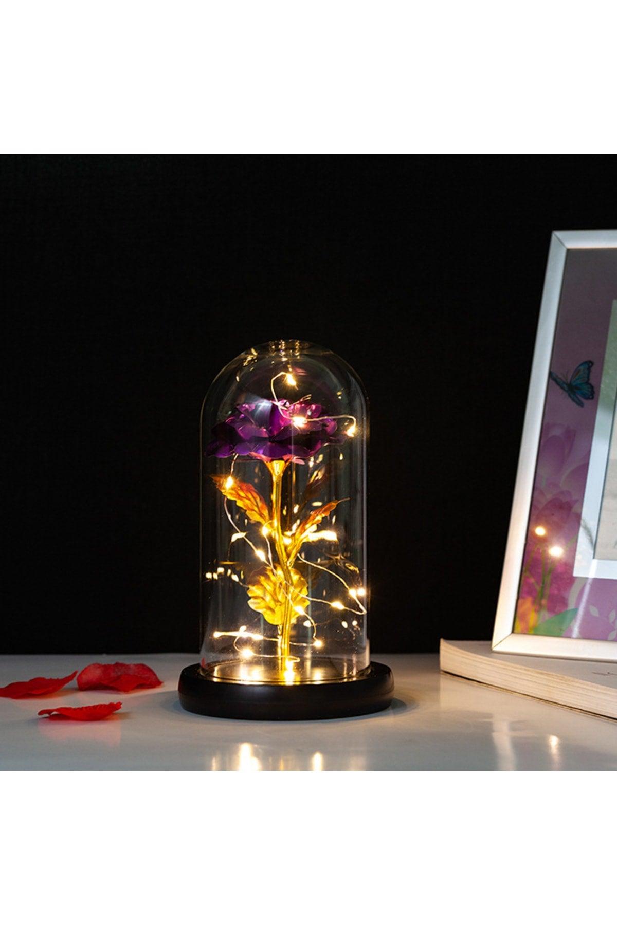 Decorative Illuminated Purple Rose Dome, Mother's Day Gift, Purple Rose in Illuminated Dome - Swordslife