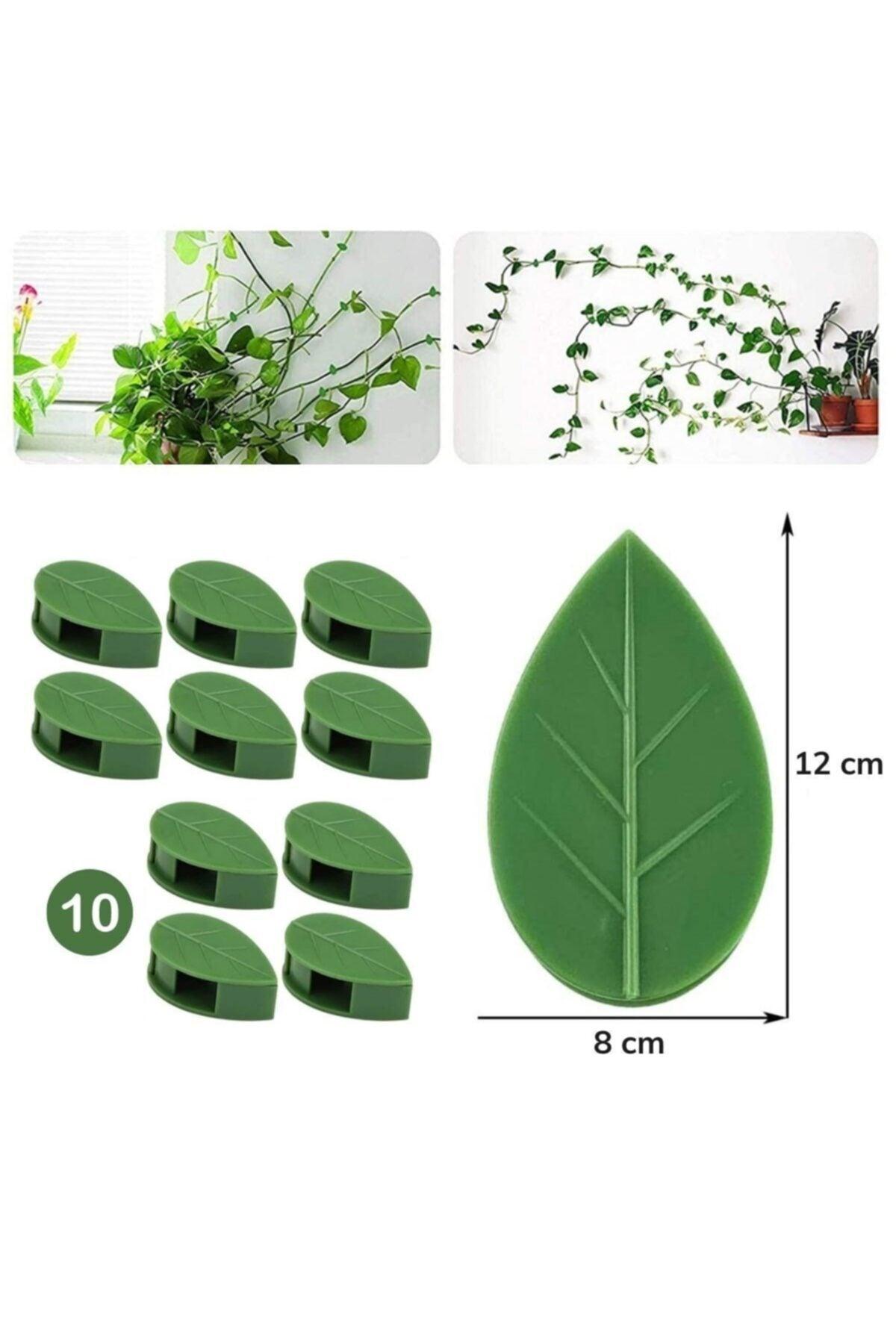 Buffer®10 Lu Leaf Design Cable Plant Ivy Organizer Adhesive Clips - Swordslife