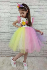 Colorful Skirt Crown Girl Child Party Dress Pink