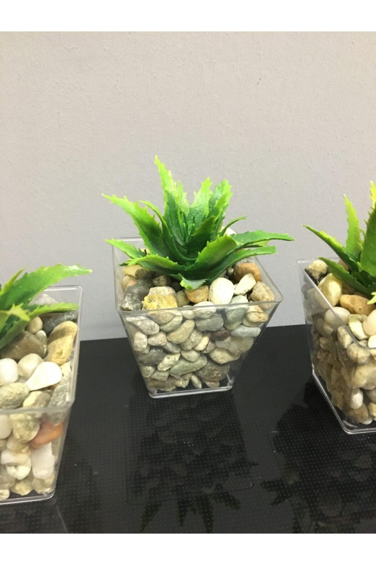 Succulent Artificial Succulent Succulent Artificial Flower in 3 Pack Pebble Pot 6cmx9cm - Swordslife