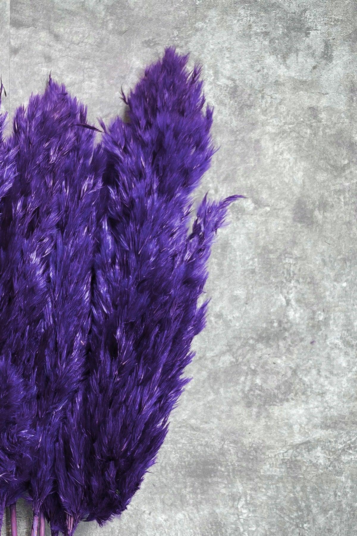 Shocked Purple Pampas Bundle of 10 - Swordslife