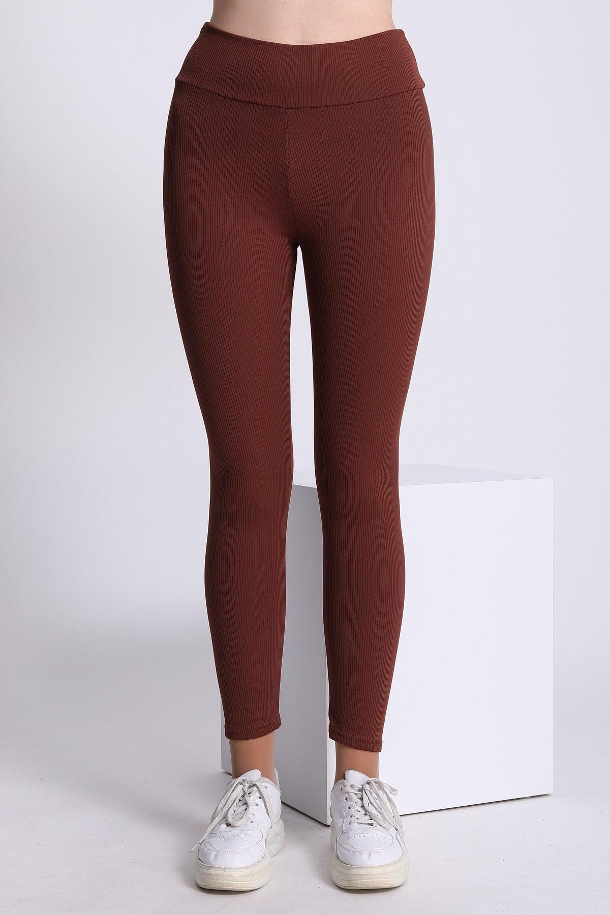 Curve Plus Size Ribbed High Waist Contouring Brown Tights - Swordslife