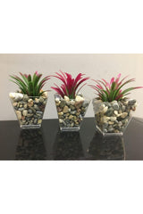 Artificial Greenery Red in 3 Pebble Pots 6cm X 10 Cm - Swordslife