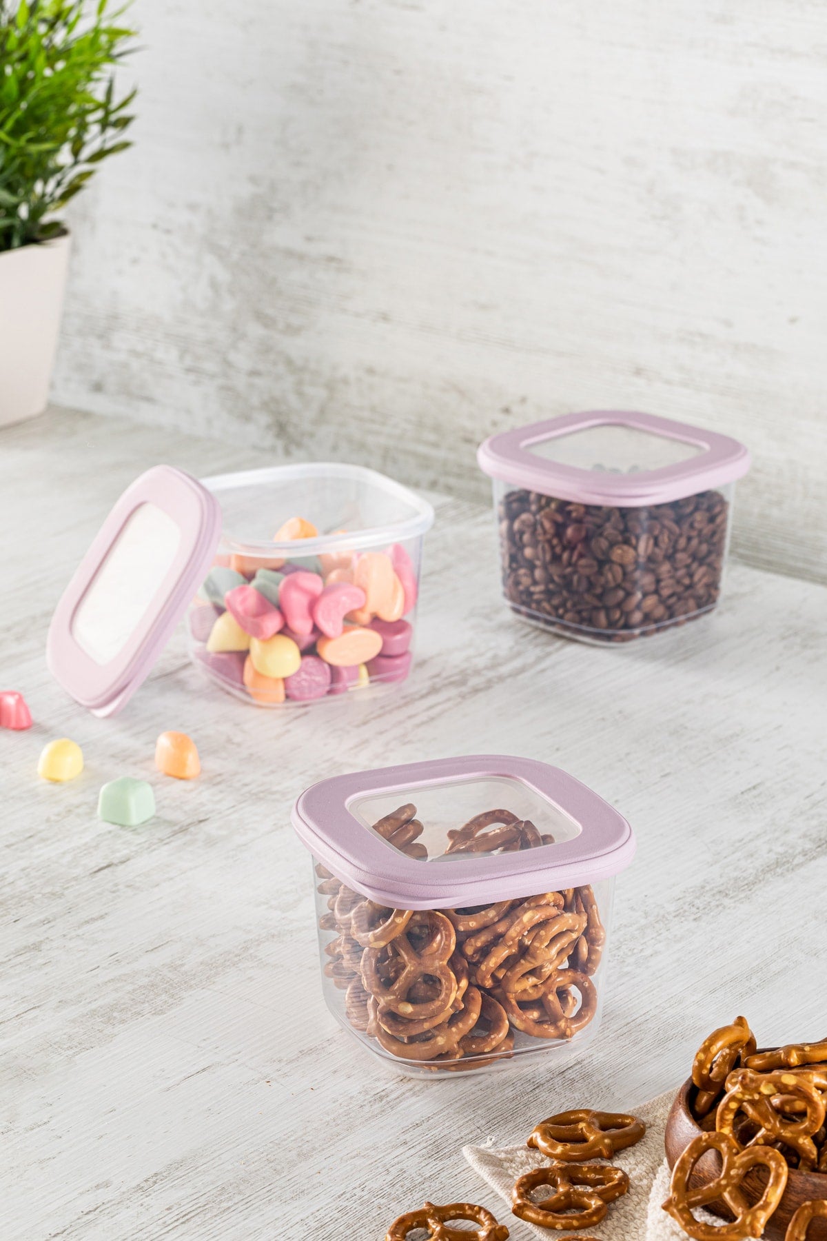 Forbs 12 Pcs Jar Storage Container