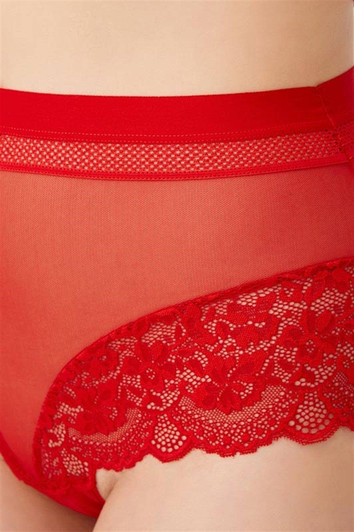 Red Lace Detailed Transparent Plus Size Bikini Panties - Swordslife