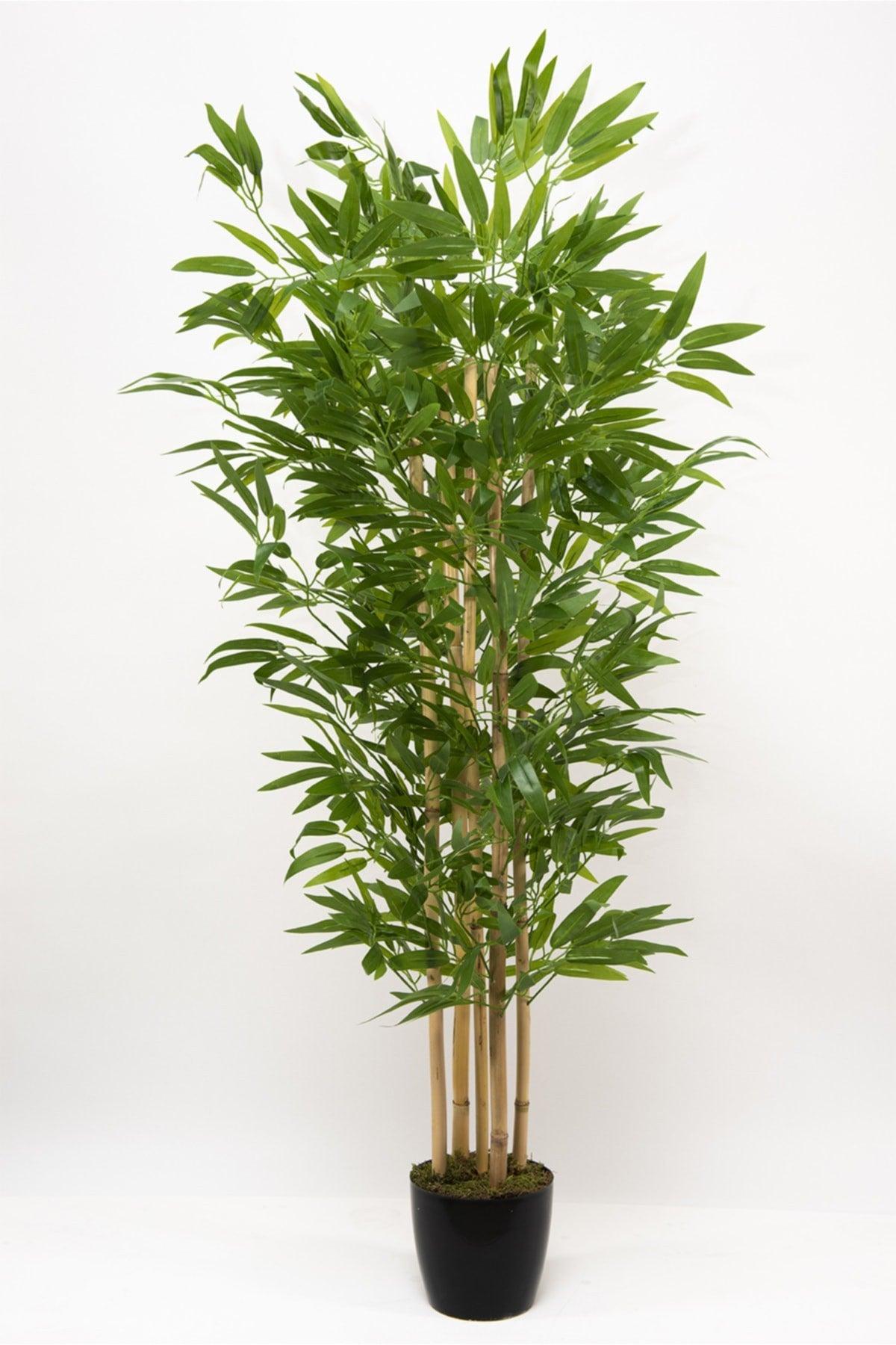 5 Trunk Dense Leaf 120 Cm Artificial Bamboo Tree - Swordslife