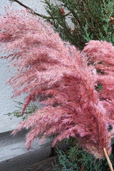 8 Pack Big Bunch Pampas Pink 100cm Tall - Swordslife