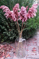 8 Pack Big Bunch Pampas Pink 100cm Tall - Swordslife