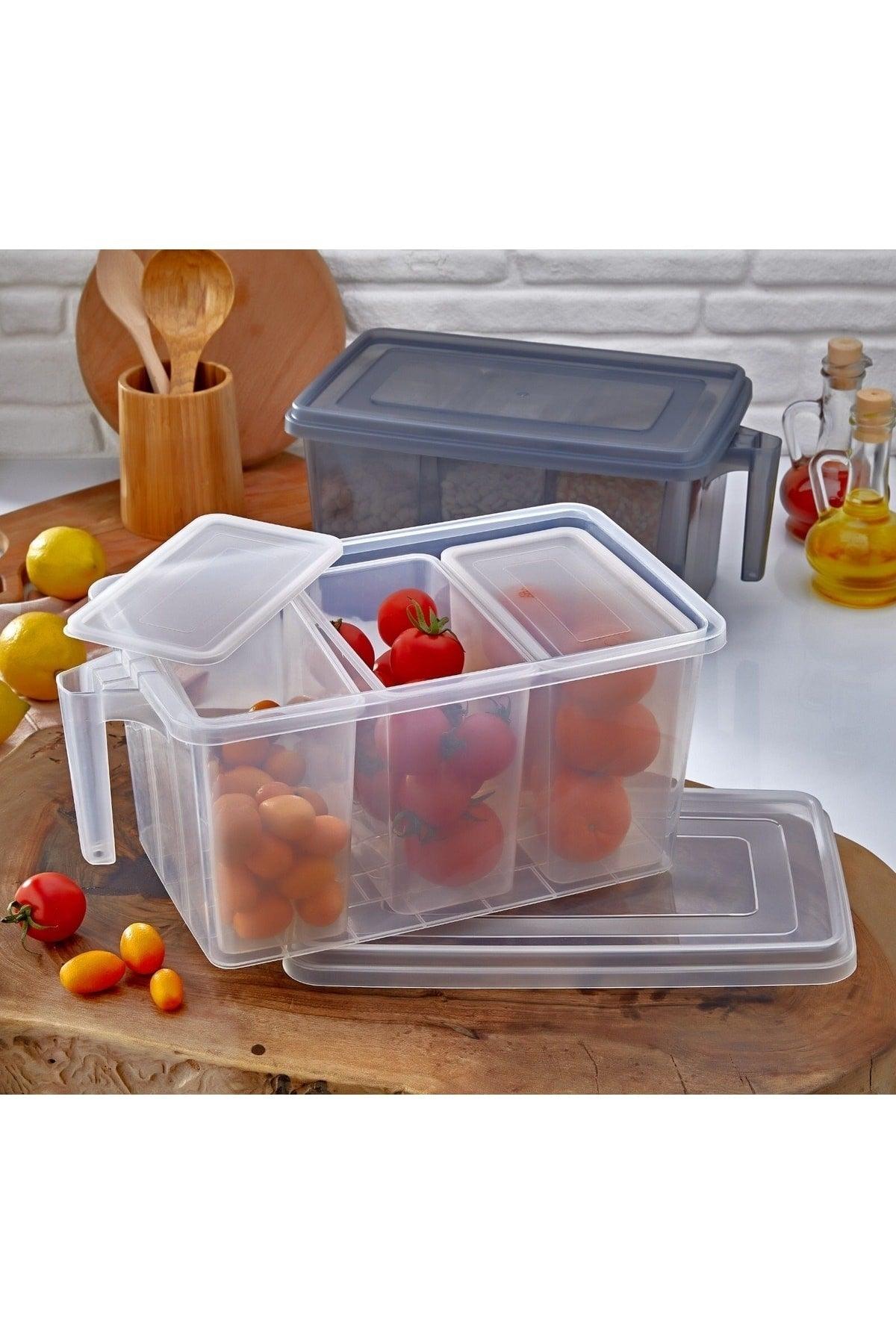 8 Lt Handled Storage Container Organizer Refrigerator Organizer 4 Pcs. Transparent Anthracite Gray - Swordslife