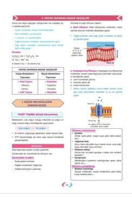 Active Tyt Ayt Active Biology 0 To Beginners - Swordslife