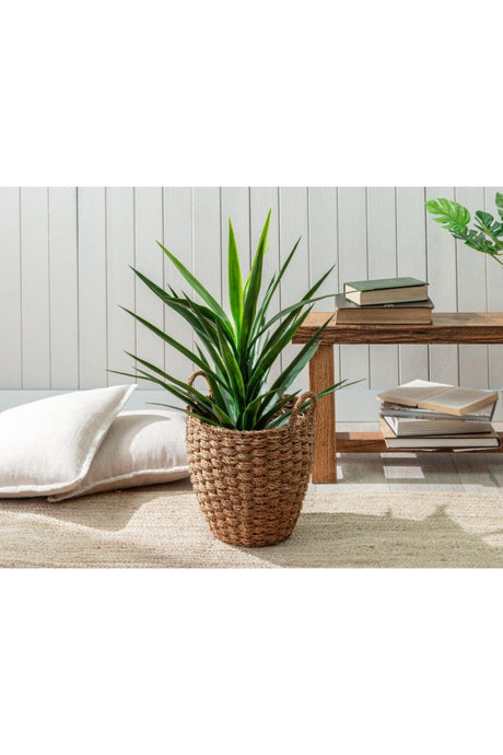 Aglaee Medium Wicker Basket - Soil 34x30 Cm - Swordslife