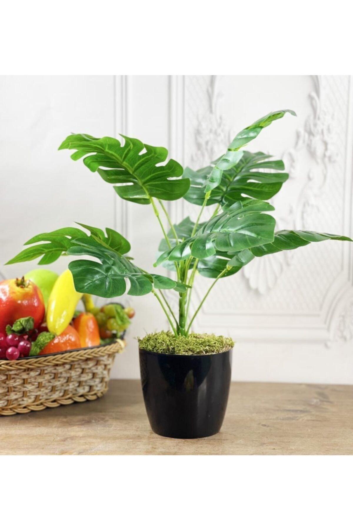 Artificial Flower Monstera 9 Branches Black Plastic Pot Camel Base Decorative Ornamental Flower - Swordslife