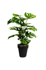 Artificial Tree Salon Pflanze Monstera 70 Cm 18 Blatt Anthrazit - Swordslife