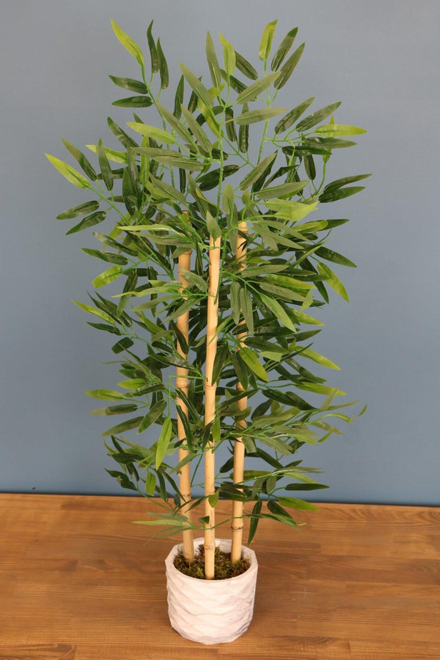 Bamboo Tree in Concrete Pot 110 Cm 3 Trunks - Swordslife