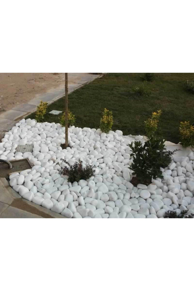 White Dolomite 25 Kg 2,5-4 Cm Dolamite Stone Stream Stone Pebble Stone Garden Ornamental Stone Decorative Stone Loche - Swordslife