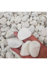 White Dolomite Stone 5 Kg 2-4 Cm Stream Pebble Stone Garden Ornamental Stone Potted Terrarium Stone Aquarium Stone - Swordslife