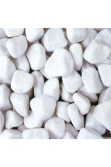 White Dolomite Stone 5 Kg 2-4 Cm Stream Pebble Stone Garden Ornamental Stone Potted Terrarium Stone Aquarium Stone - Swordslife