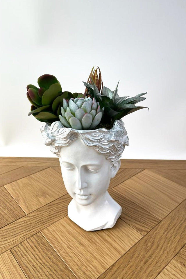 Large Helen Head Concrete White Pot Artificial Succulent Arrangement - Swordslife