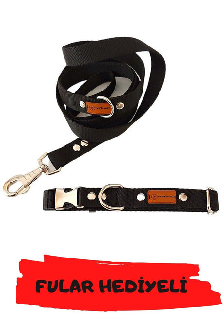 Black Small Medium Breed Dog Collar and