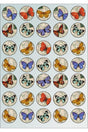 Butterfly Sticker Set - Planner - Agenda -