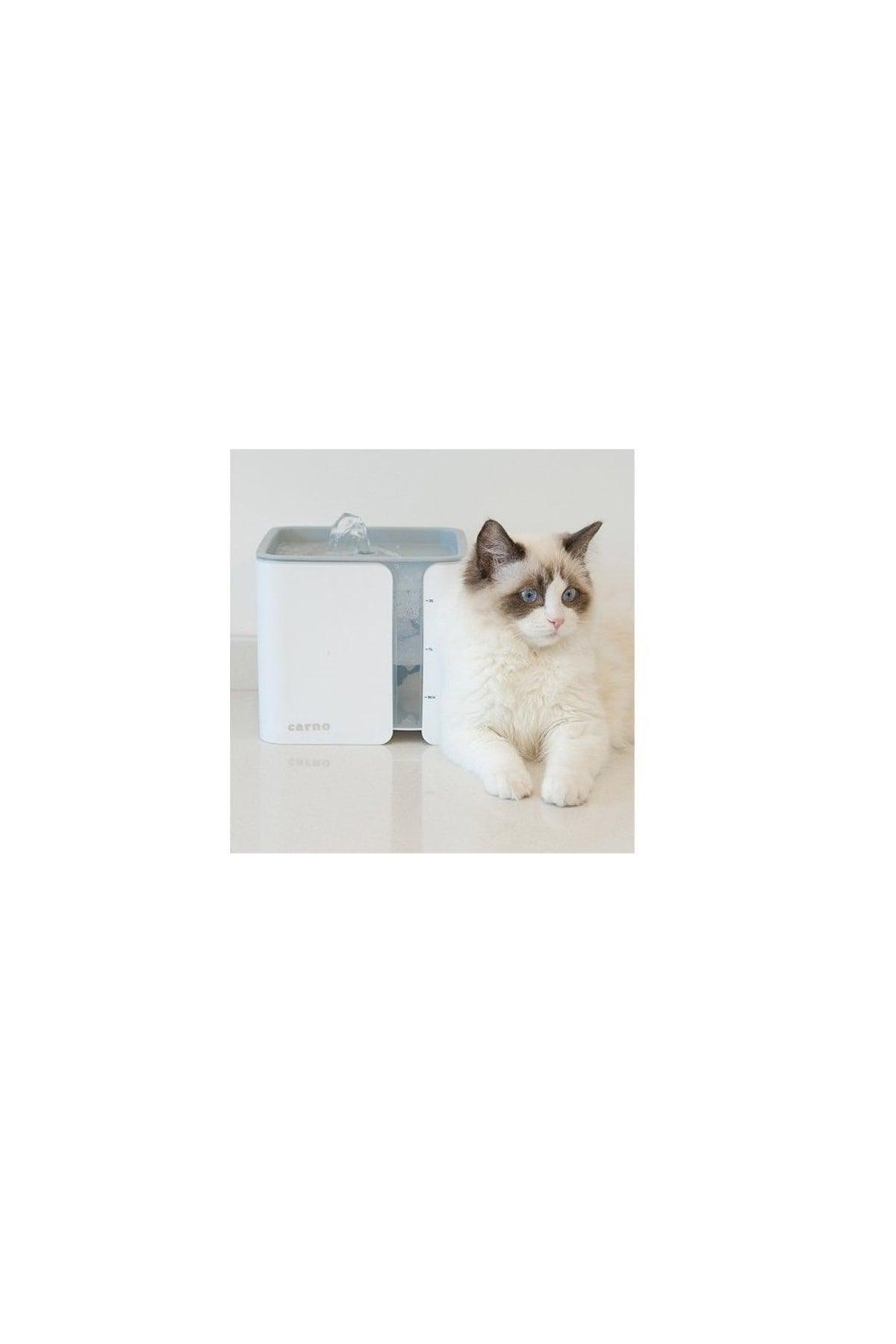 Cat Dog Water Dispenser