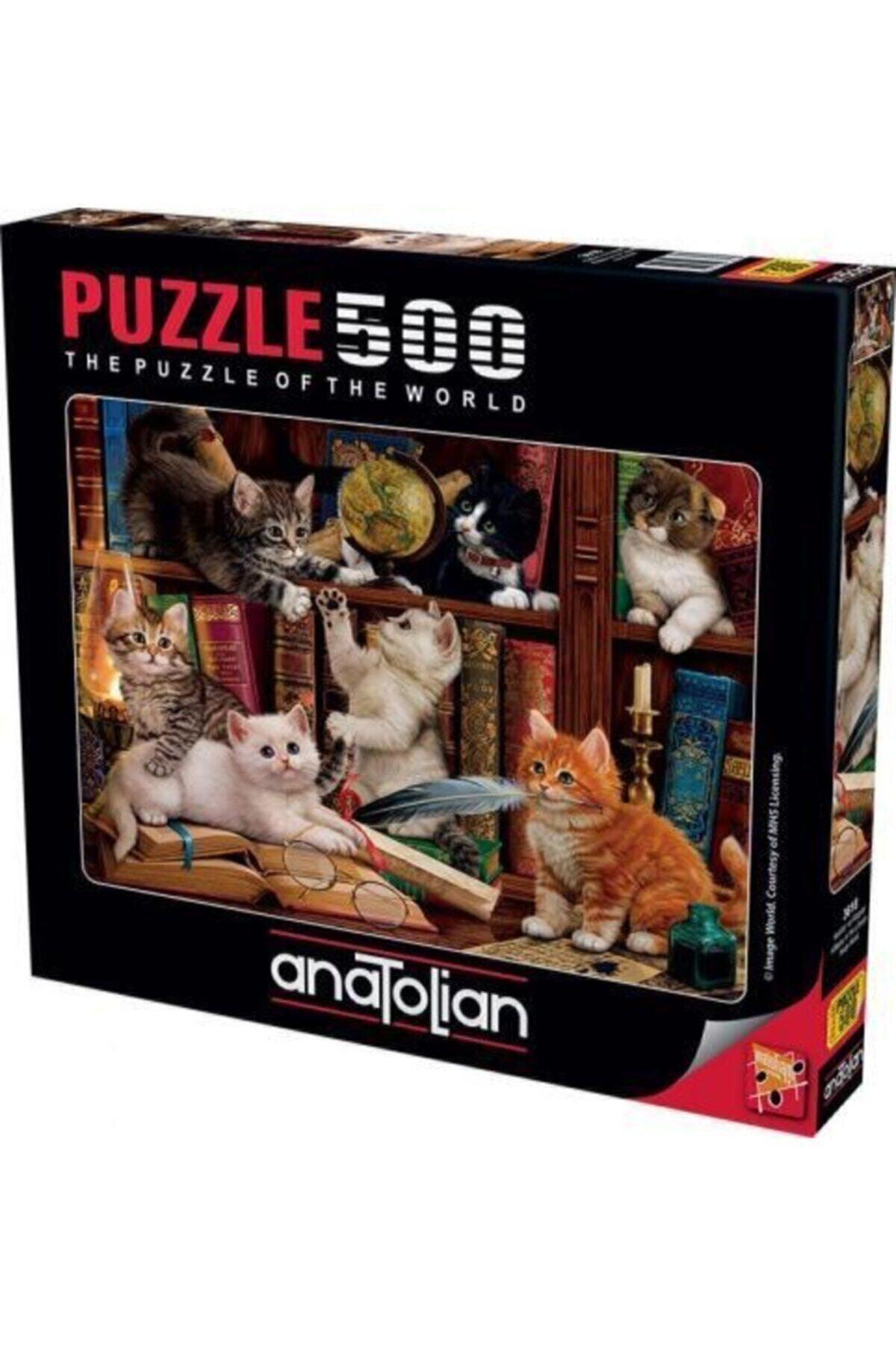 Cats and Books / 500 Piece Puzzle, Code:3618 - Swordslife