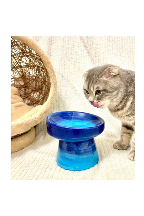 Ceramic Cat And Dog Food Bowl (blue-clear