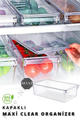 Maxi Tall Clear Fridge & Cabinet With Lid