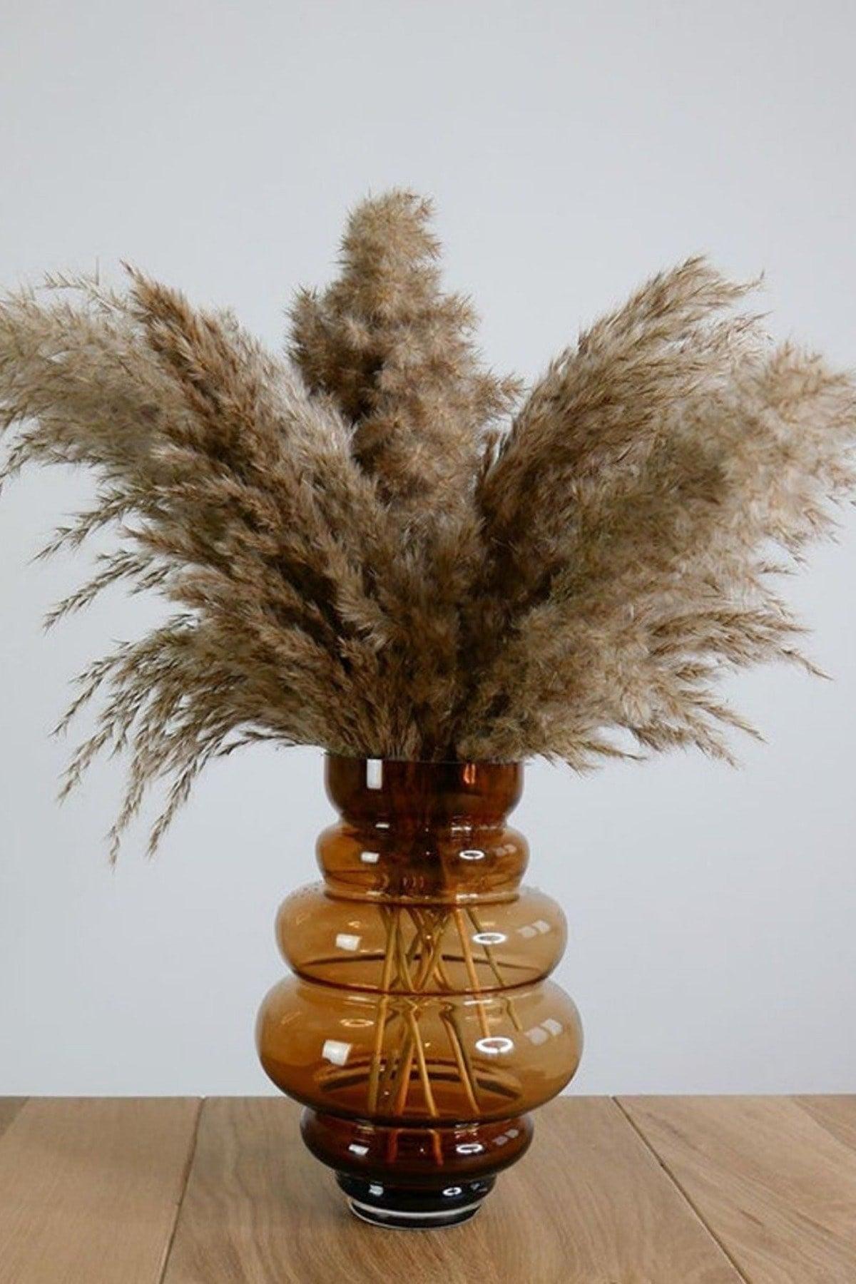 Decorative Natural 7 Piece Pampas - Swordslife