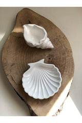 Sea Shell And Oyster Set White - Swordslife