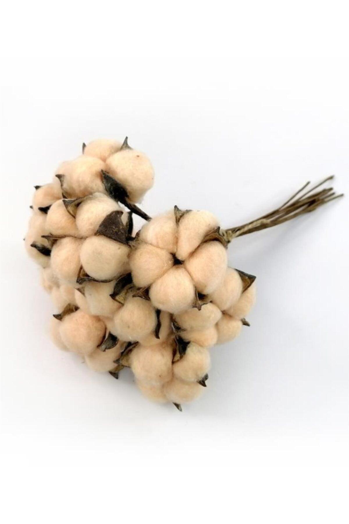 Natural Cotton Flower Cream Color 10 Pieces Single Branch Dried Flower 30 Cm Artificial Flower - Swordslife