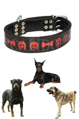 Double Layer Leather Dog Collar Rottweiler